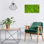 Moosbild 600 x 800 Kugelmoos