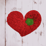 Moosbild mit Moosherz in der Farbe rot