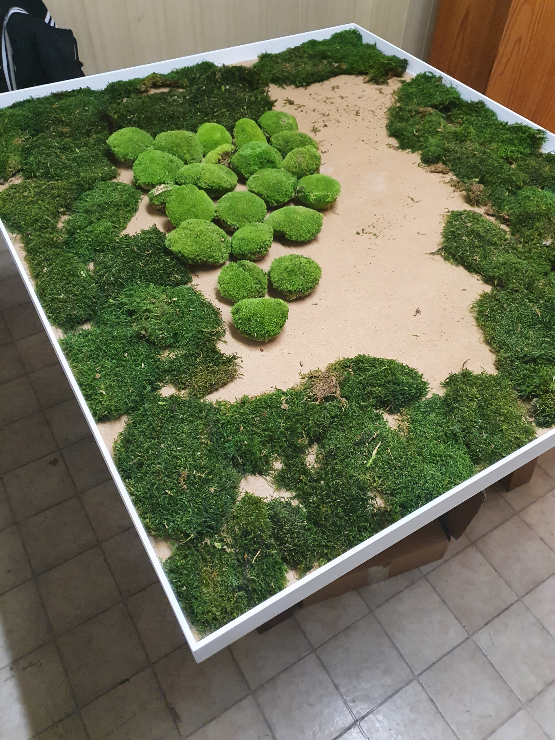 Moosbilder selber machen Anleitung