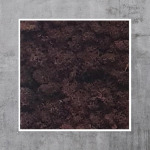 Ein Moosbild aus Islandmoos in der Farbe Lila