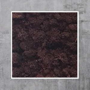 Ein Moosbild aus Islandmoos in der Farbe Lila