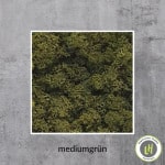 Moosbild eckig Islandmoos in der Farbe mediumgrün