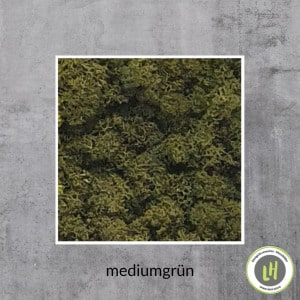 Moosbild eckig Islandmoos in der Farbe mediumgrün