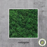 Moosbild naturgrün