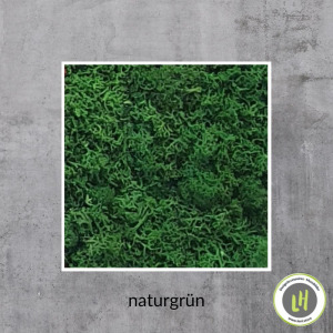 Moosbild naturgrün