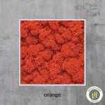 eckiges Moosbild in der Farbe orange