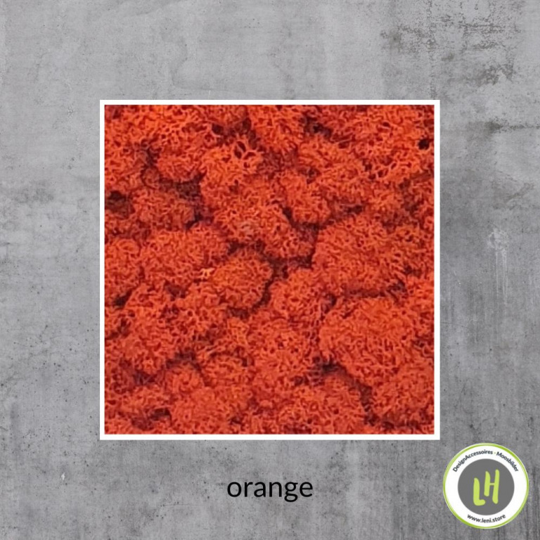 eckiges Moosbild in der Farbe orange