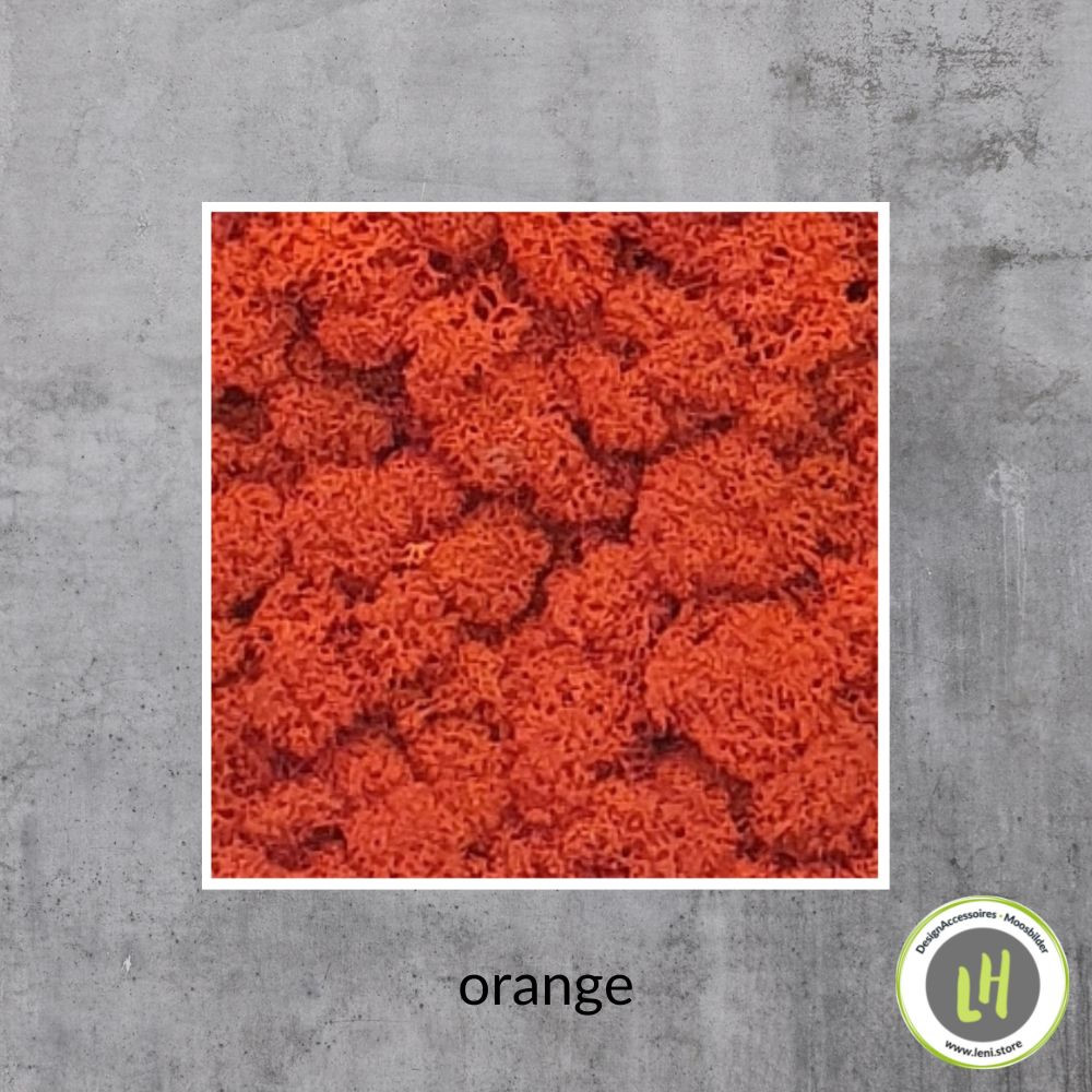 eckiges Moosbild in der Farbe orange