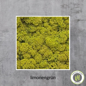 Moosbild limonengrün